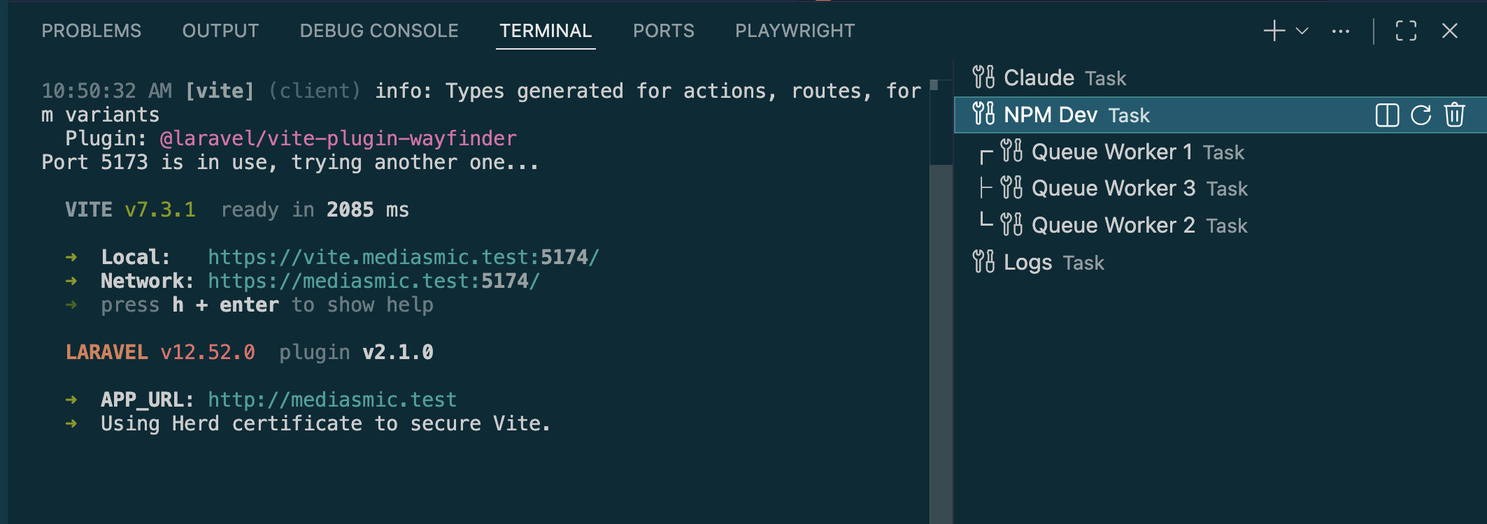 NPM Dev terminal tab
